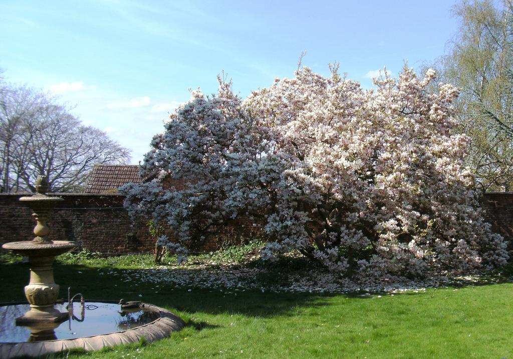 Hilbury Court Hotel Trowbridge Bagian luar foto